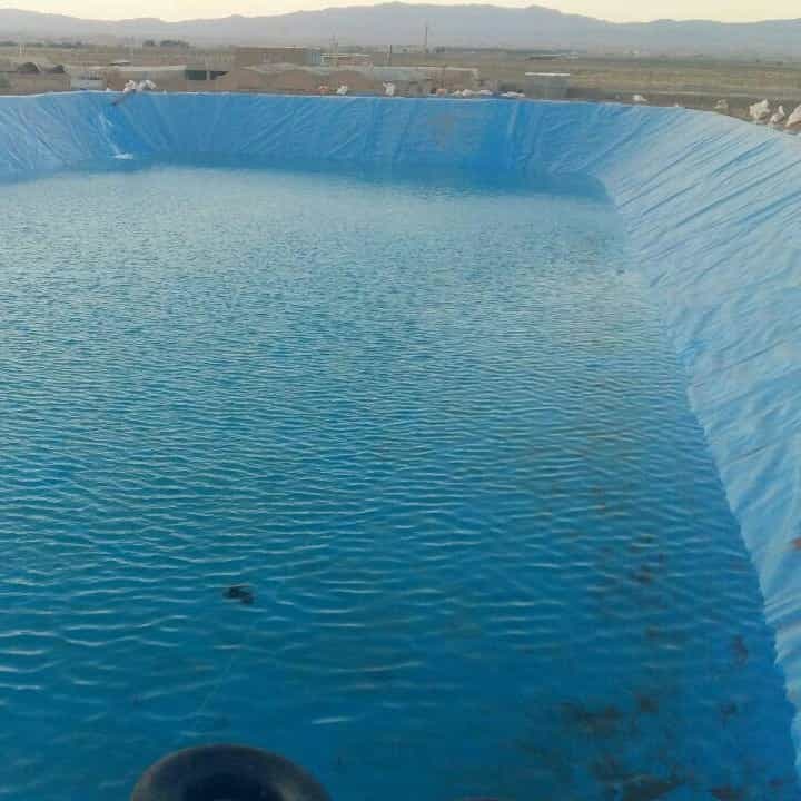 1694424819320.webp